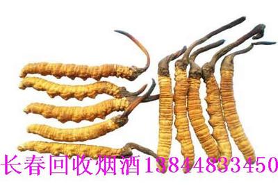 长春回收冬虫夏草